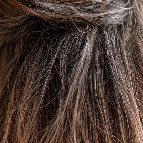 cheveux abimes