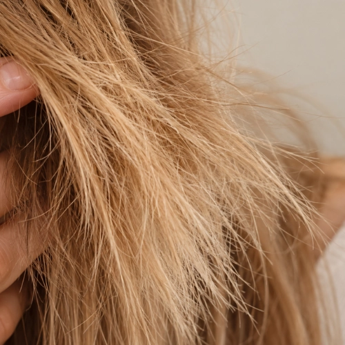 cheveux abimes sibel