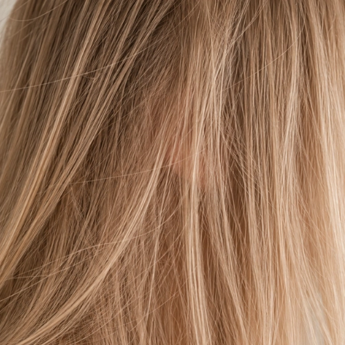 cheveux fins sibel