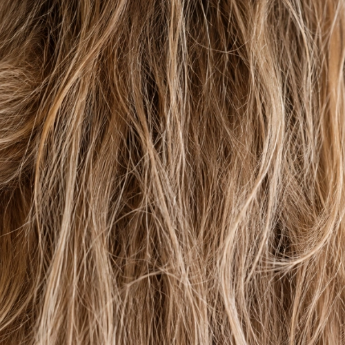 cheveux secs
